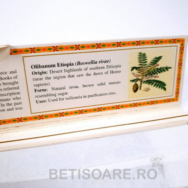 Bețișoarele parfumate Olibanum Etiopia, de la Marcos Polo Treasures, pentru fumigații, sunt realizate din ingrediente naturale.
